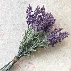 Lavender Posy Stem And Flower