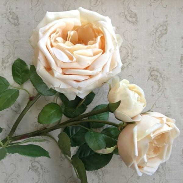 Rose Spray ~ Cream with a hint of Apricot