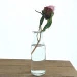 Small Bottle Stem Vase