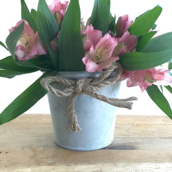 Zinc Pot with Rope Bow & Plastic Liner